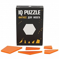 Головоломка IQ Puzzle Figures, шестиугольник, цена: 299 руб.