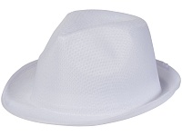 Шляпа Trilby, цена: 209 руб.