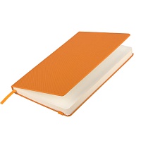 Ежедневник недатированный  Canyon BtoBook, оранжевый (без упаковки, без стикера), цена: 651 руб.