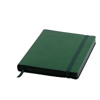 Ежедневник датированный Shady, А5,  зеленый, кремовый блок, темно-зеленый обрез, цена: 549 руб.