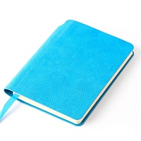 Ежедневник недатированный SALLY, A6, голубой, кремовый блок, цена: 279 руб.