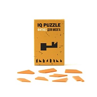 Головоломка IQ Puzzle, ключ, цена: 299 руб.